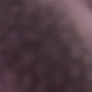 Meet your Posher, Shakirah